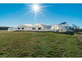 Property photo 12 - OHIO LAND AUCTION - 154+/- ACRES IN RICHLAND COUNTY